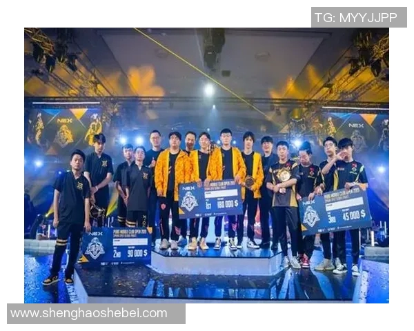 和平精英TES战队运营策略深度解析与成功经验分享